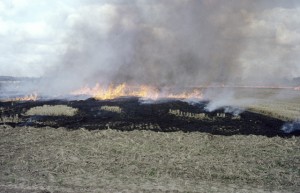 Stubble burning in cation. Photo credit: http://www.geograph.org.uk/profile/32907