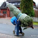 How to transport your Christmas tree