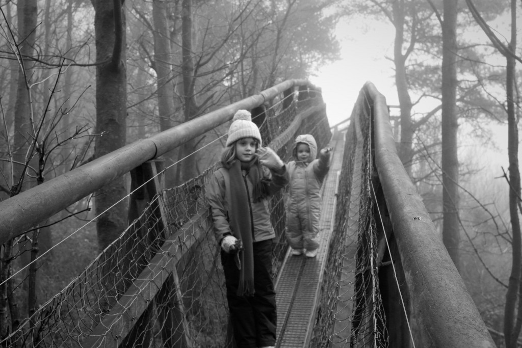 treetop walk, country kids, dad blogger, daddy blogger