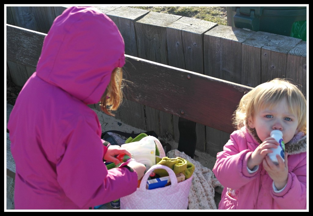 picnic, park