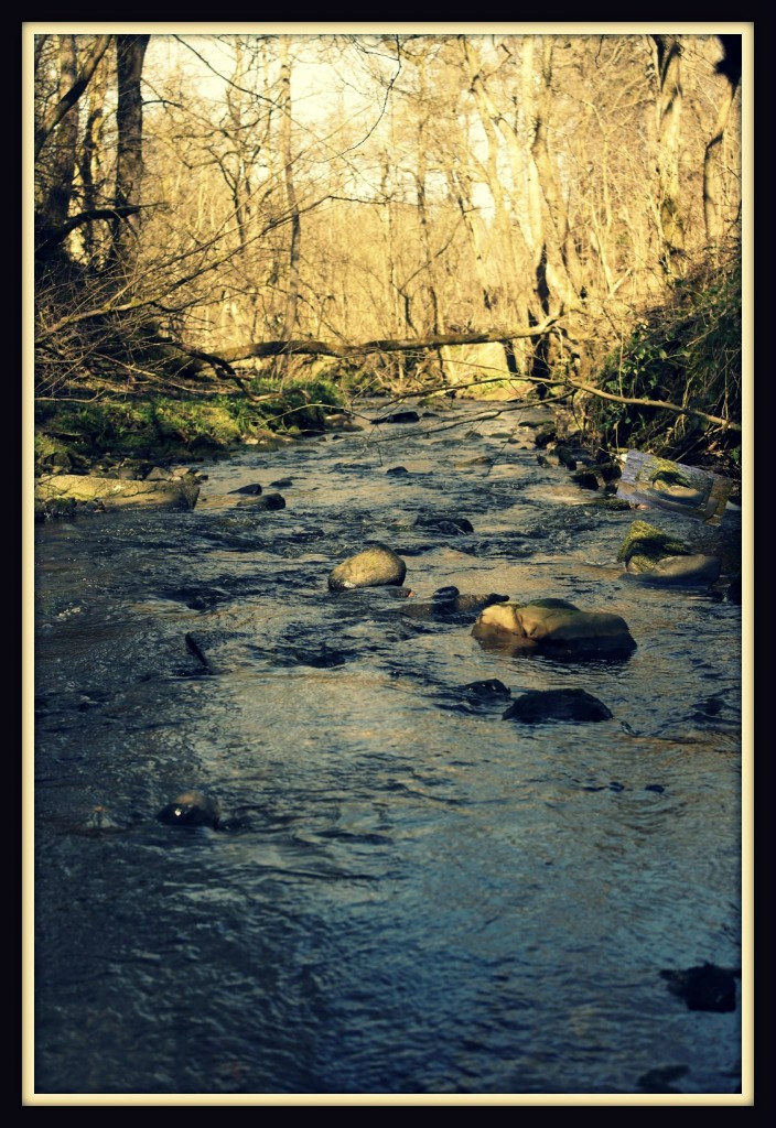 cumbernauls, cumbernauld glen, #mysundayphoto, mysundayphoto, my sunday photo, blogging, photography, dad blogger