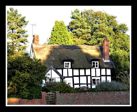 family home, kitchen, bathroom garden