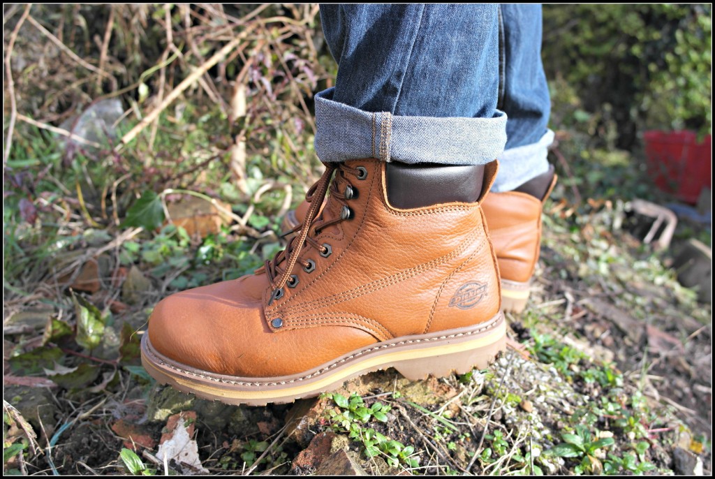 dickies welton non safety boots