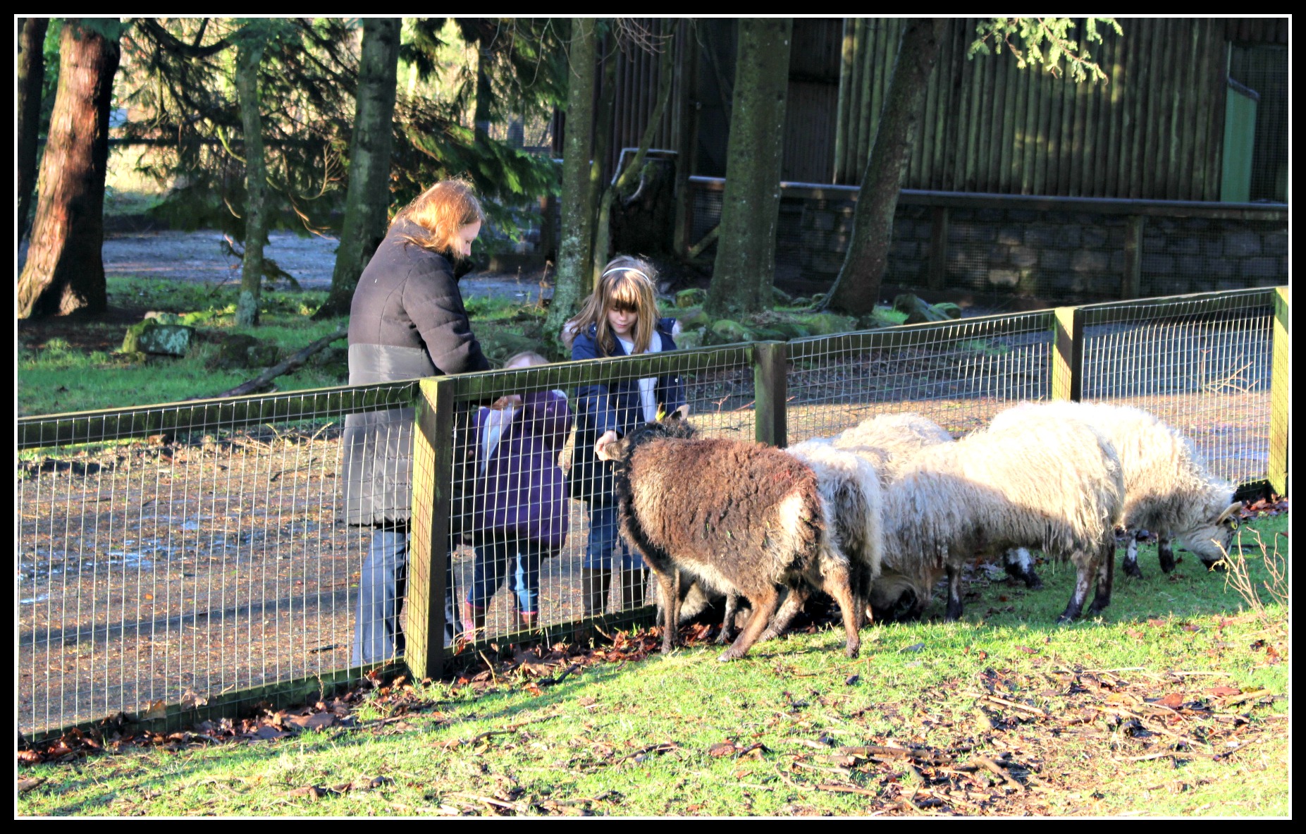 Palacerigg COuntry Park, days out with children, Scotland, North Lanarkshire