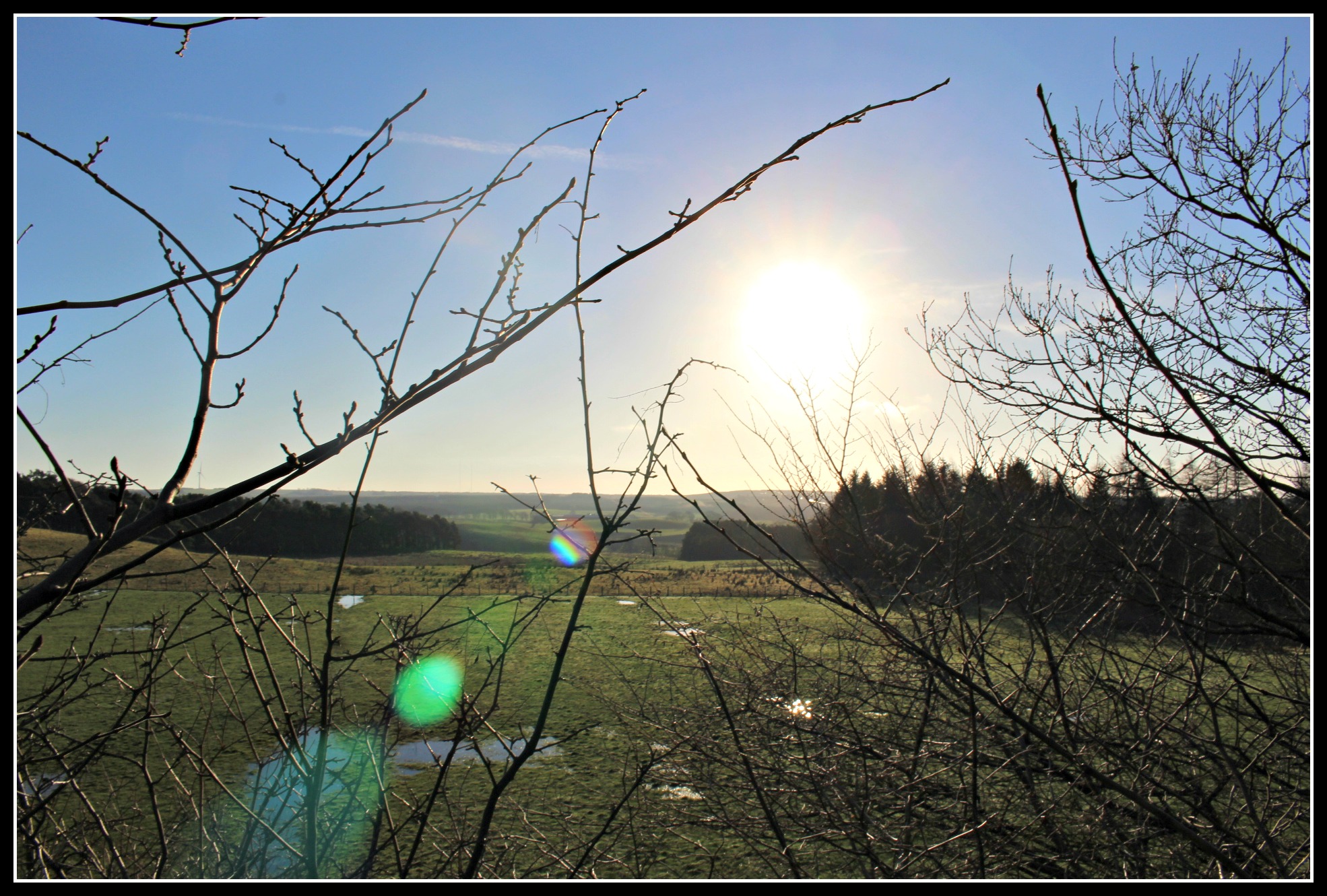 Palacerigg Country Park, days out with children