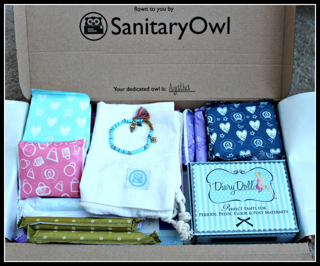 Sanitary Owl, review, reviews, period, periods, menstruation, children, education, 