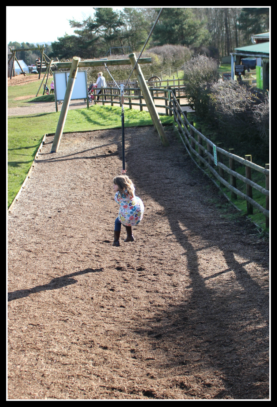 Cotswold Farm Park, days out, days out with children, 