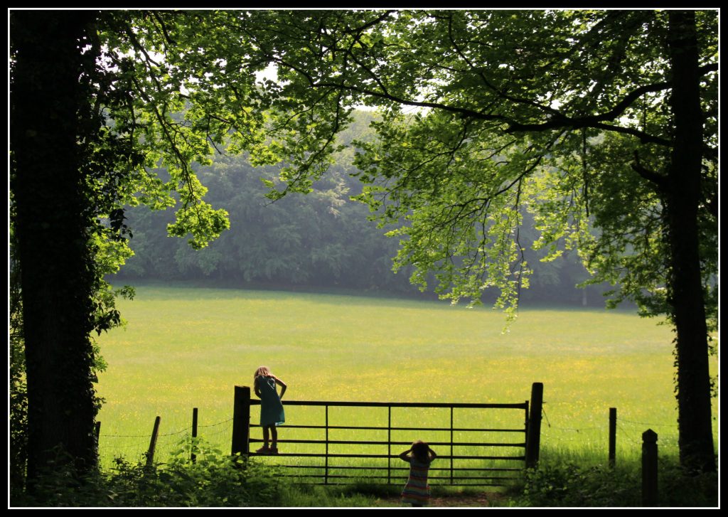 childhood, children, fun, days out, forest, field, woodland, photography, blogging, #MySundayPhoto, Brandon Block