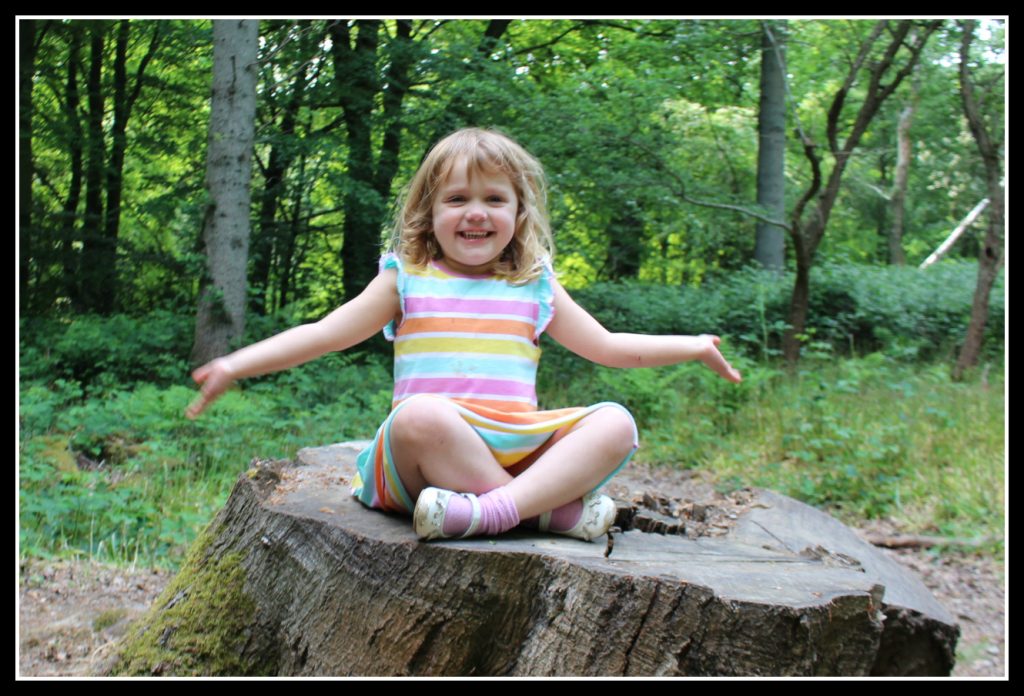 walk, woods, active children, photogrpahy, blogging #CountryKids, Coombe Mill, woodland adventure