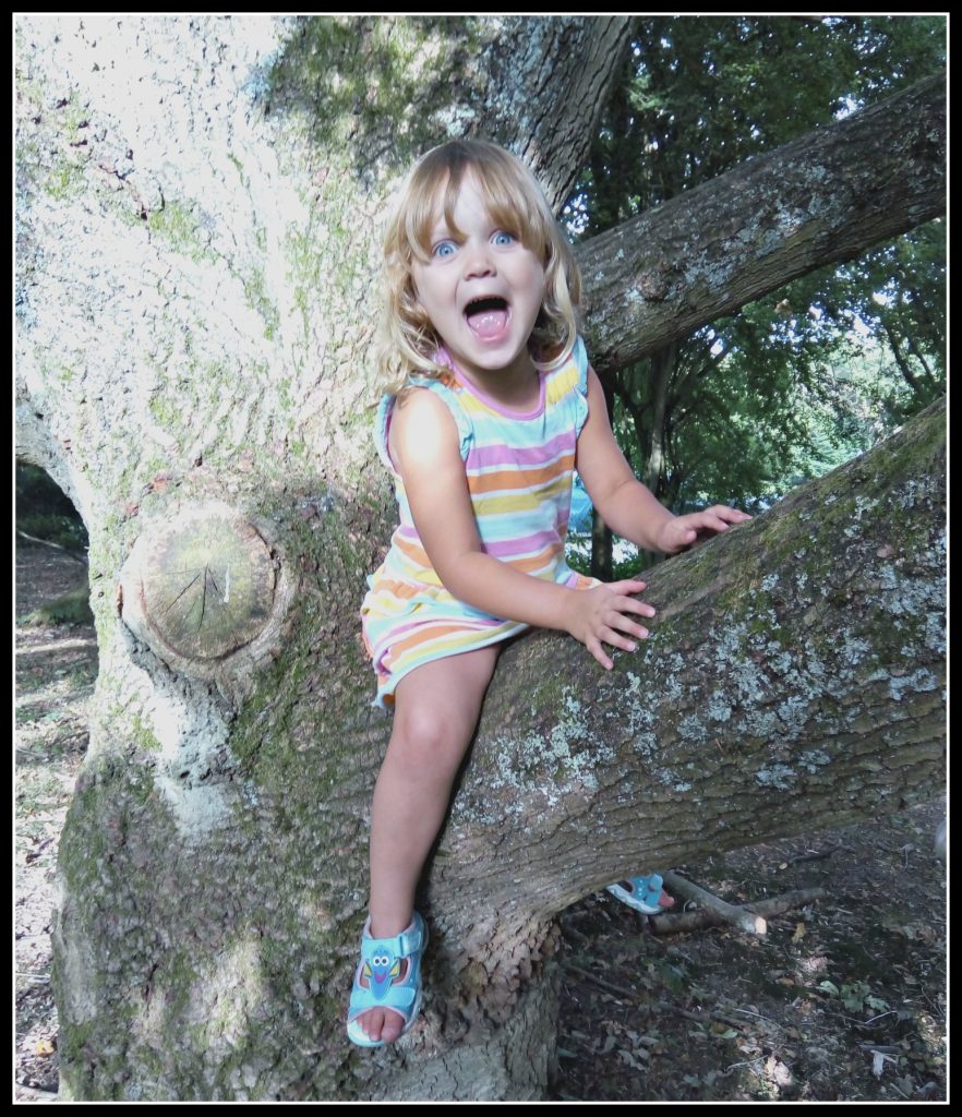 tree, climb trees, camping, camp site, outdoor play, ousitde play, active children, healthy children