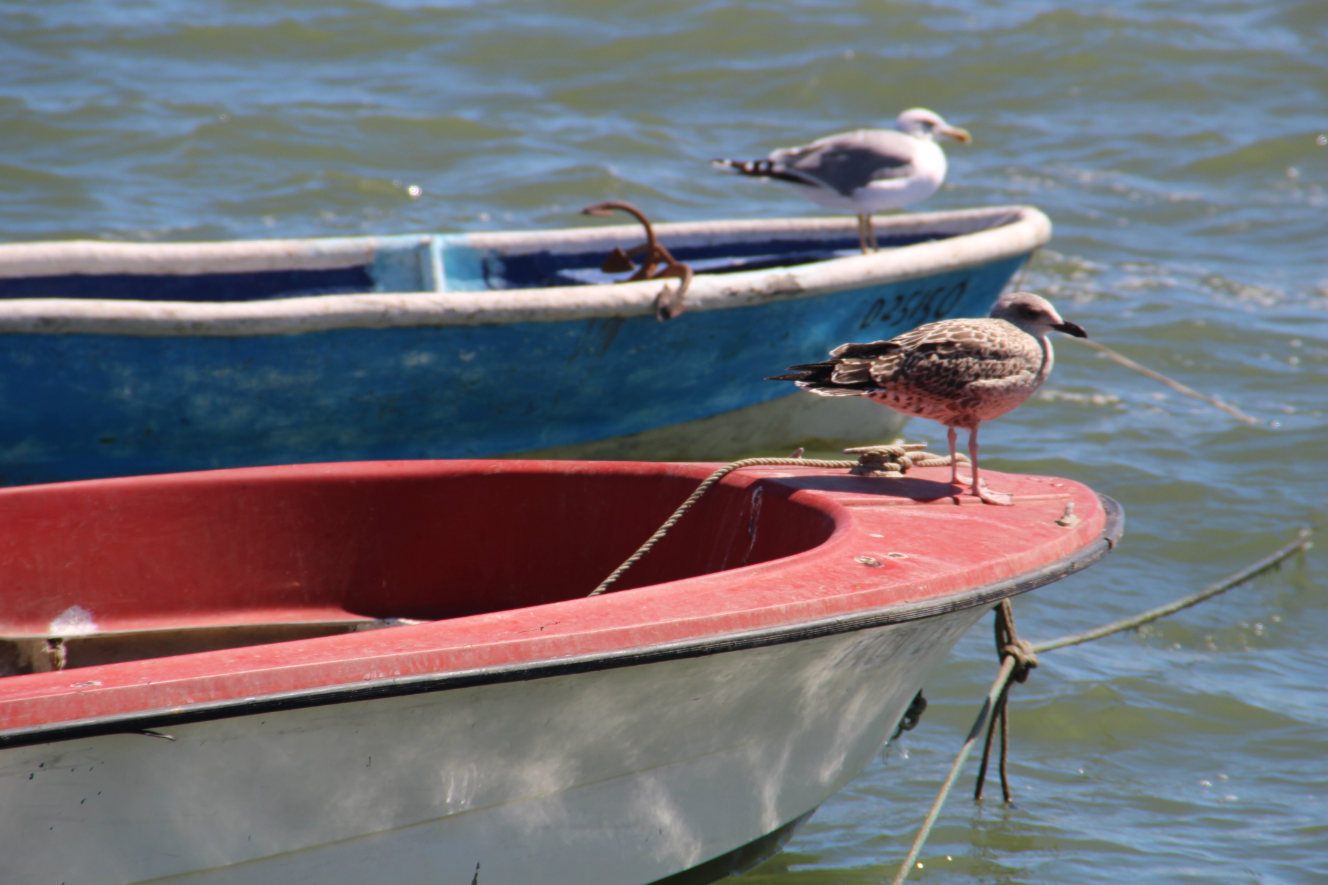 Olhão, Portugal, travel, photography, professional blogger, professional blogger John Adams