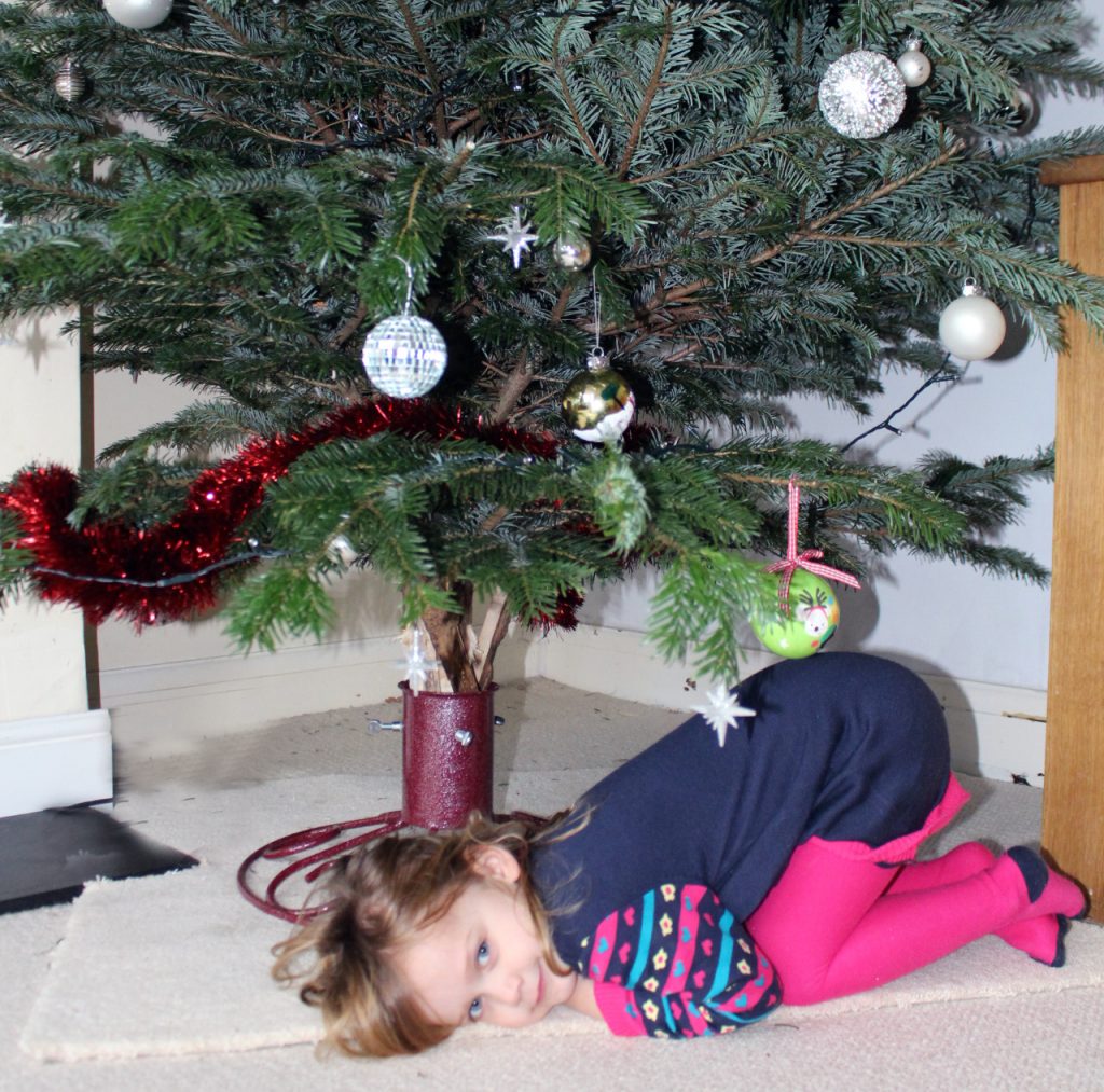 Christmas, Christmas tree, tree, fun at Christmas, drama at Christmas
