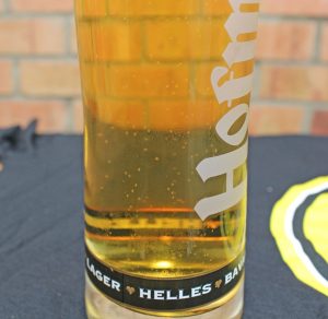 Hofmeister, Hofmeister beer, Hofmeister review