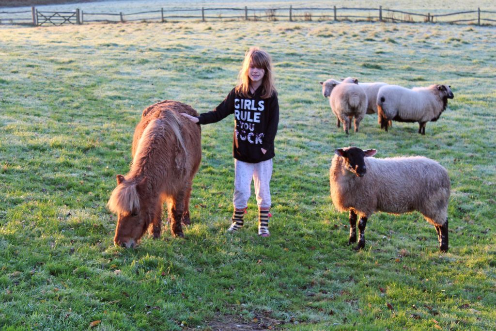 The Lodges at New House Farm, New House farm, Sussex, winter getaway, dadbloguk, dadbloguk, dadbloguk.com, travelling with children, family friendly locations to stay in Sussex, High Wield, River Rother, stay at home dad, school run dad