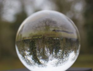 lensball, woodland, woodland photography, #mysundayphoto, photography, dadbloguk, dadbloguk.com, dad blog uk, school run dad, stay at home dad, professional blogger, professional blogger John Adams