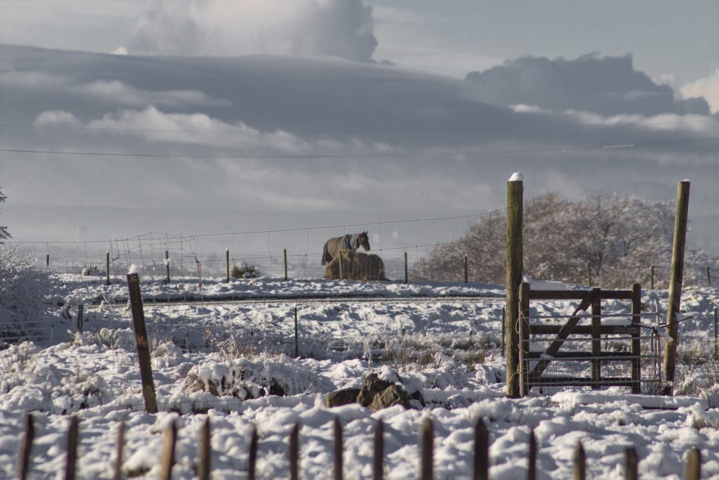 Campsies, Lanarkshire, Scotland, Boxing Day, white boxing day, dadbloguk, dadbloguk.com, dad blog uk, school tun dad, stay at home dad, SAHD, 