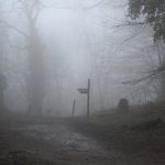 An experiment: Shooting into the mist