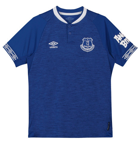 Everton Football shirt, Angry Birds, Everton, Everton FC, Everton Football Club, Birld Cup, Wayne Rooney, dadbloguk, dadbloguk.com, school run dad, sahd,
