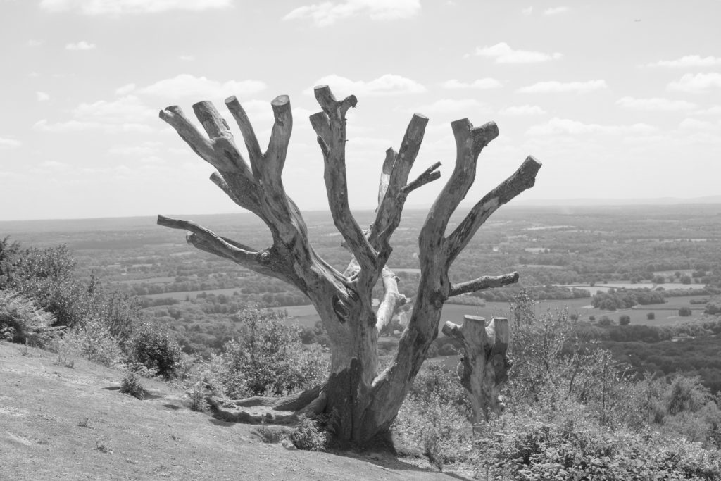 Leith Hill, photography, Surrey, Dorking, curvature of the Earth, uk dad blogger, dadbloguk, dadbloguk.com, dad blog uk, school run dad, #srd