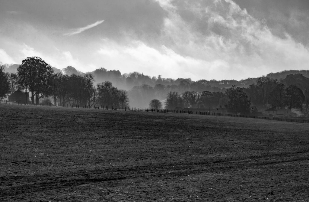 Surrey landscape, Surrey, #mysundayphoto, farmland, farm land, dadbloguk, dadbloguk.com, dad blog uk, photographer, rural Surrey