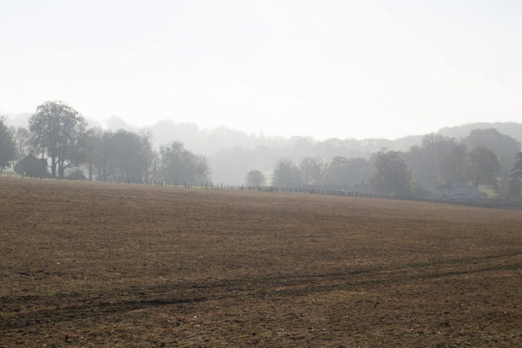 Surrey landscape, Surrey, #mysundayphoto, farmland, farm land, dadbloguk, dadbloguk.com, dad blog uk, photographer, rural Surrey