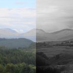 Improving the Scottish landscape