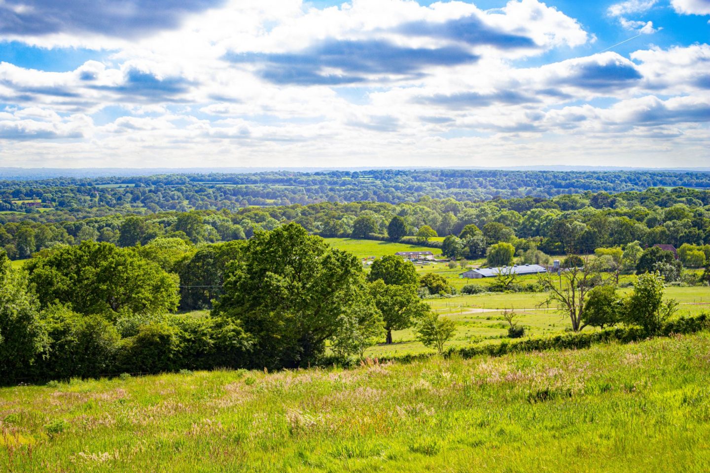 Photograph of English countryside in early summer showing green and pleasant land.