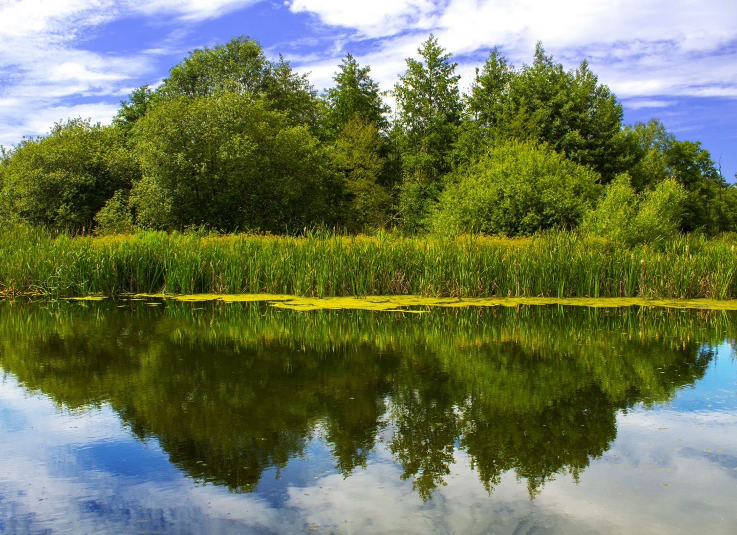 reflections, reflection reflection in water, photography, dad blog, dadbloguk, photo editing