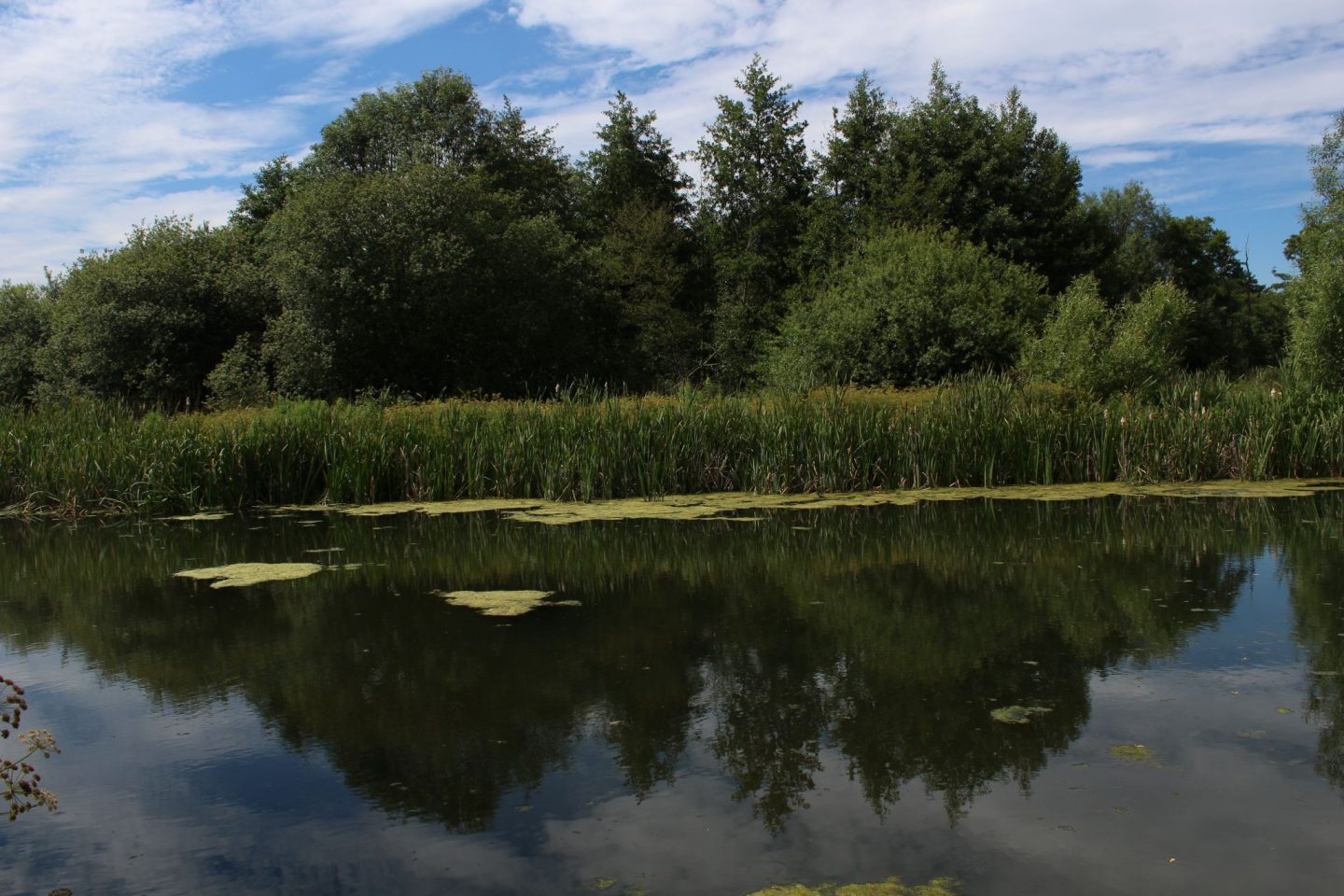 reflection, reflections, water, photography, dadbloguk, dad blog, photography blogger