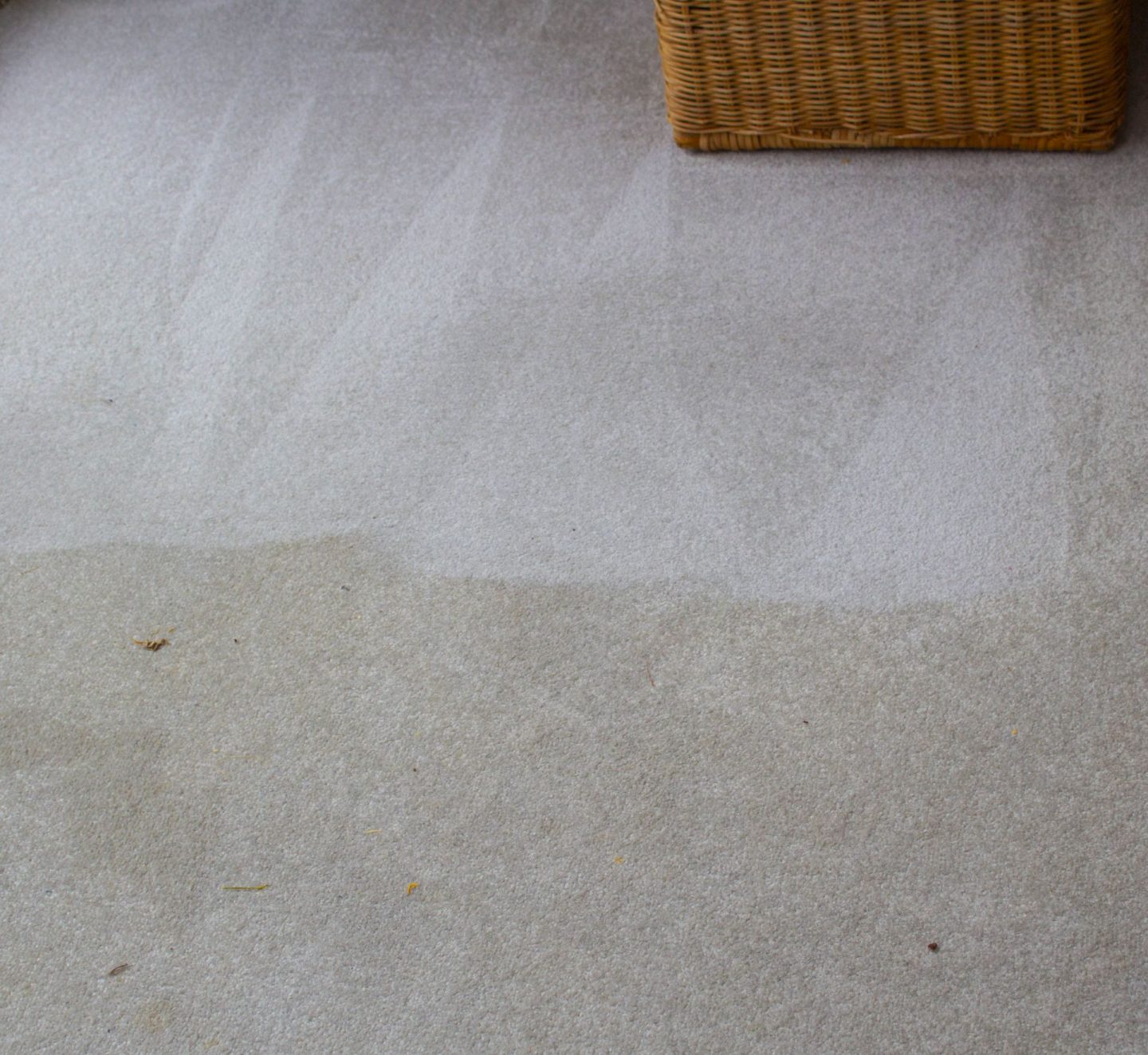 CarpetBright