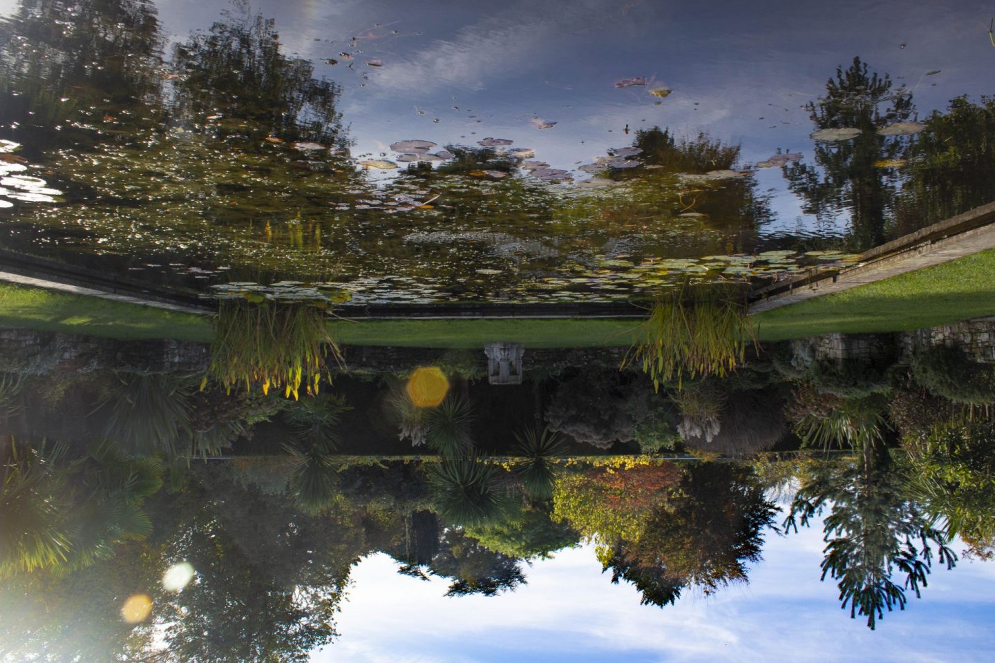 upside down, upside down camera, wrong way up image, photography, picture