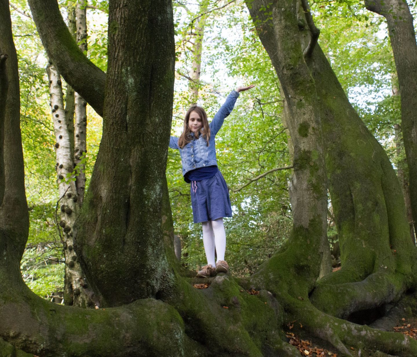 Savlon, tree climbing dad blogger, uk dad blog, dadbloguk.com