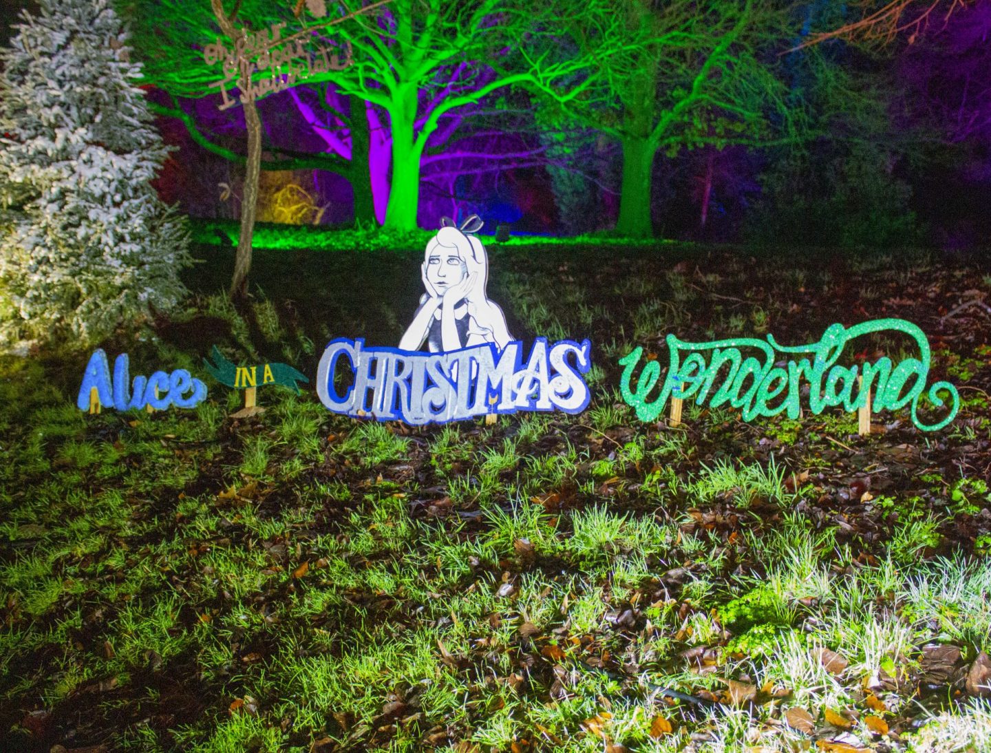 Alice in a Christmas wonderland, Christmas trail, Kent, England, Visit England