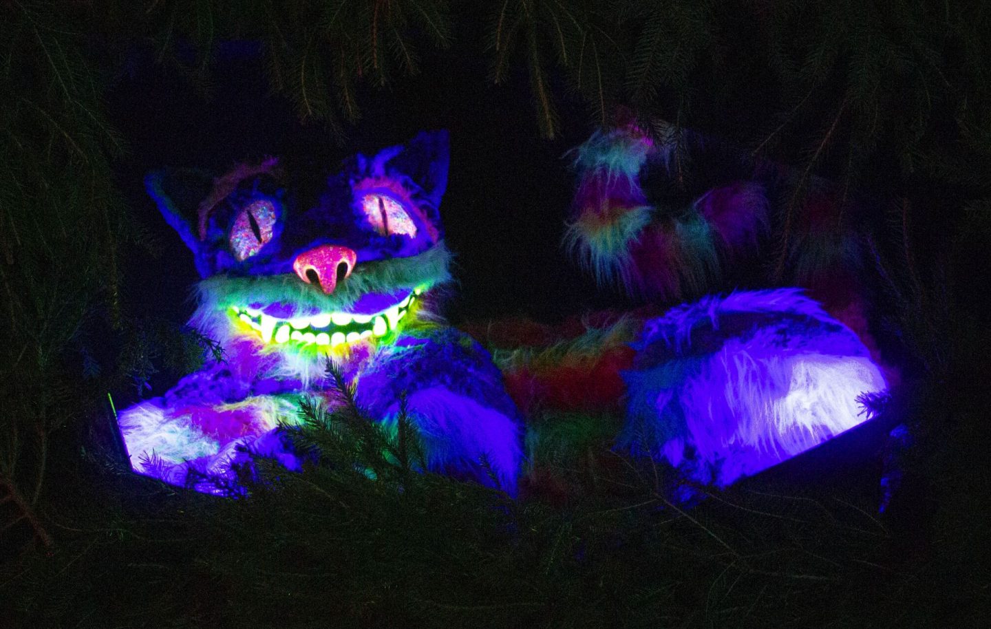 Cheshire Cat, The Cheshire Cat, Lewis Carroll, Alice in Wonderland, Hever Castle