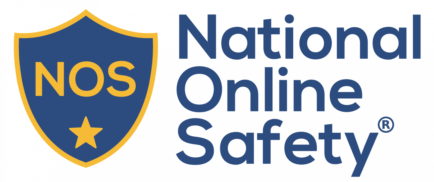 The National Online Safety logo