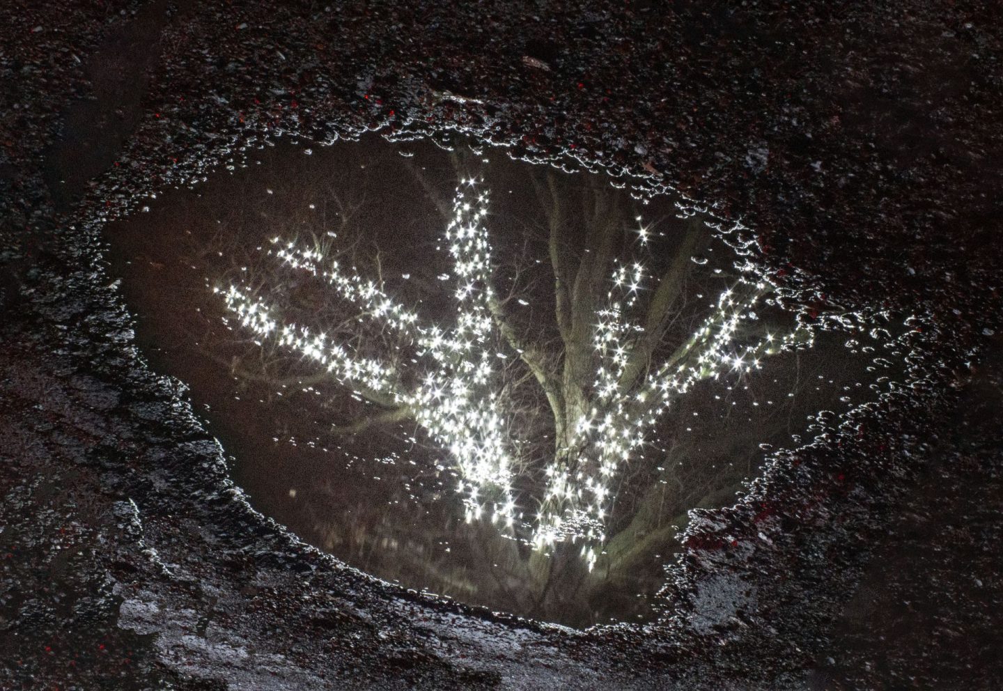 Christmas lights reflected in a puddle