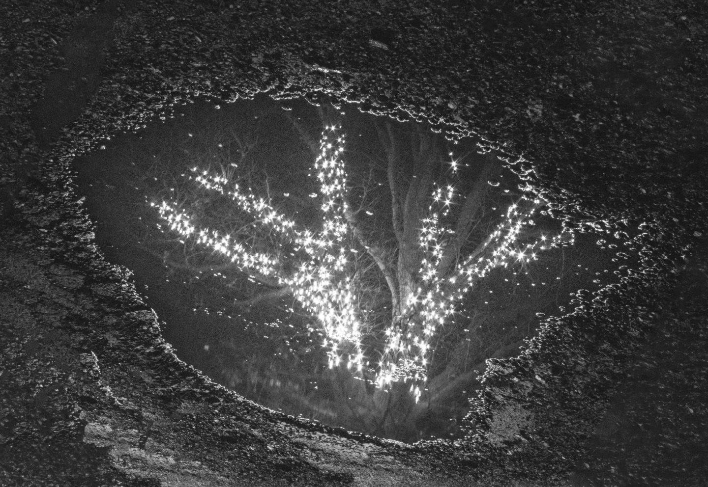 A black and white image of Christmas lights reflected in a puddle. 