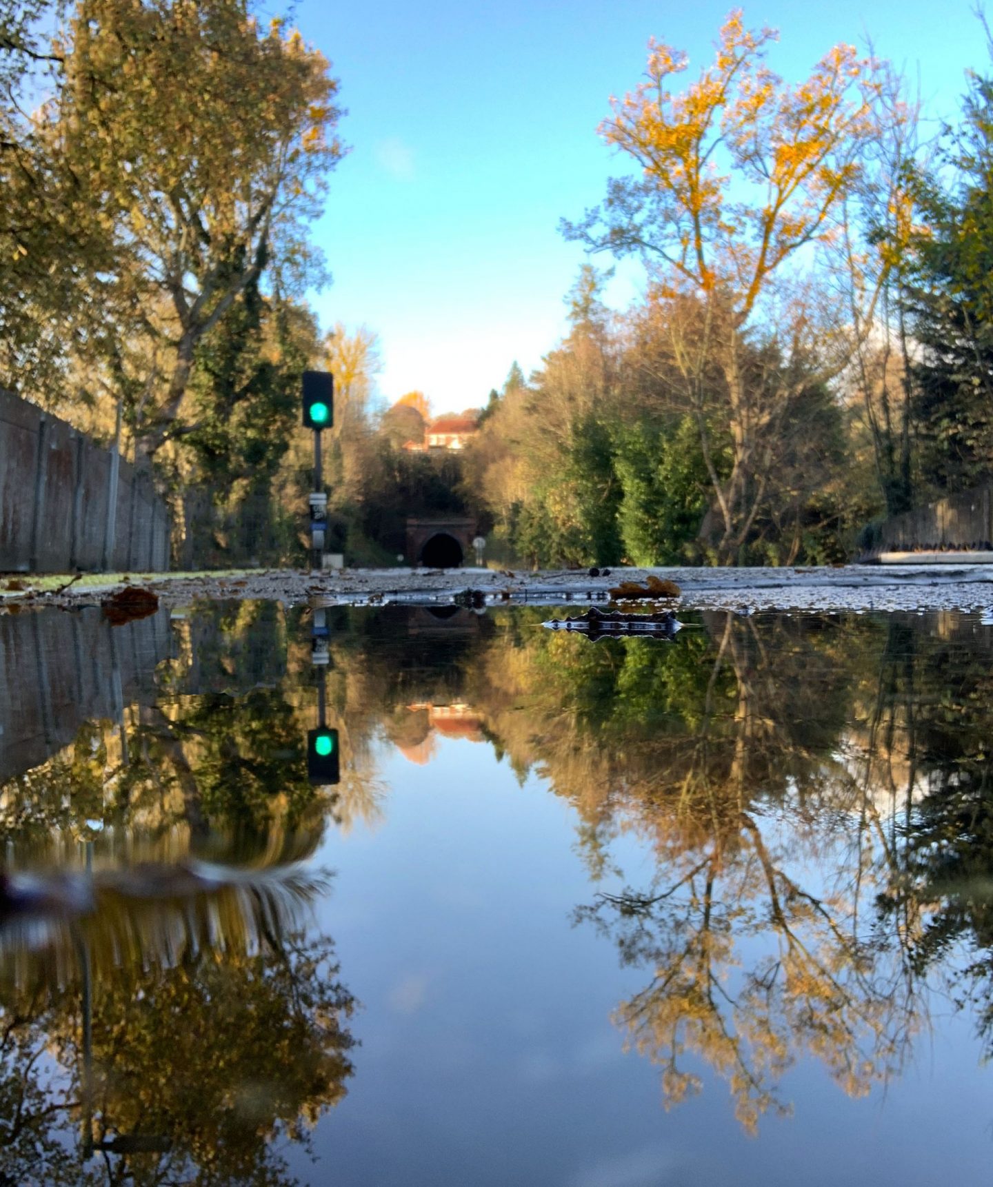 A reflection in a puddle