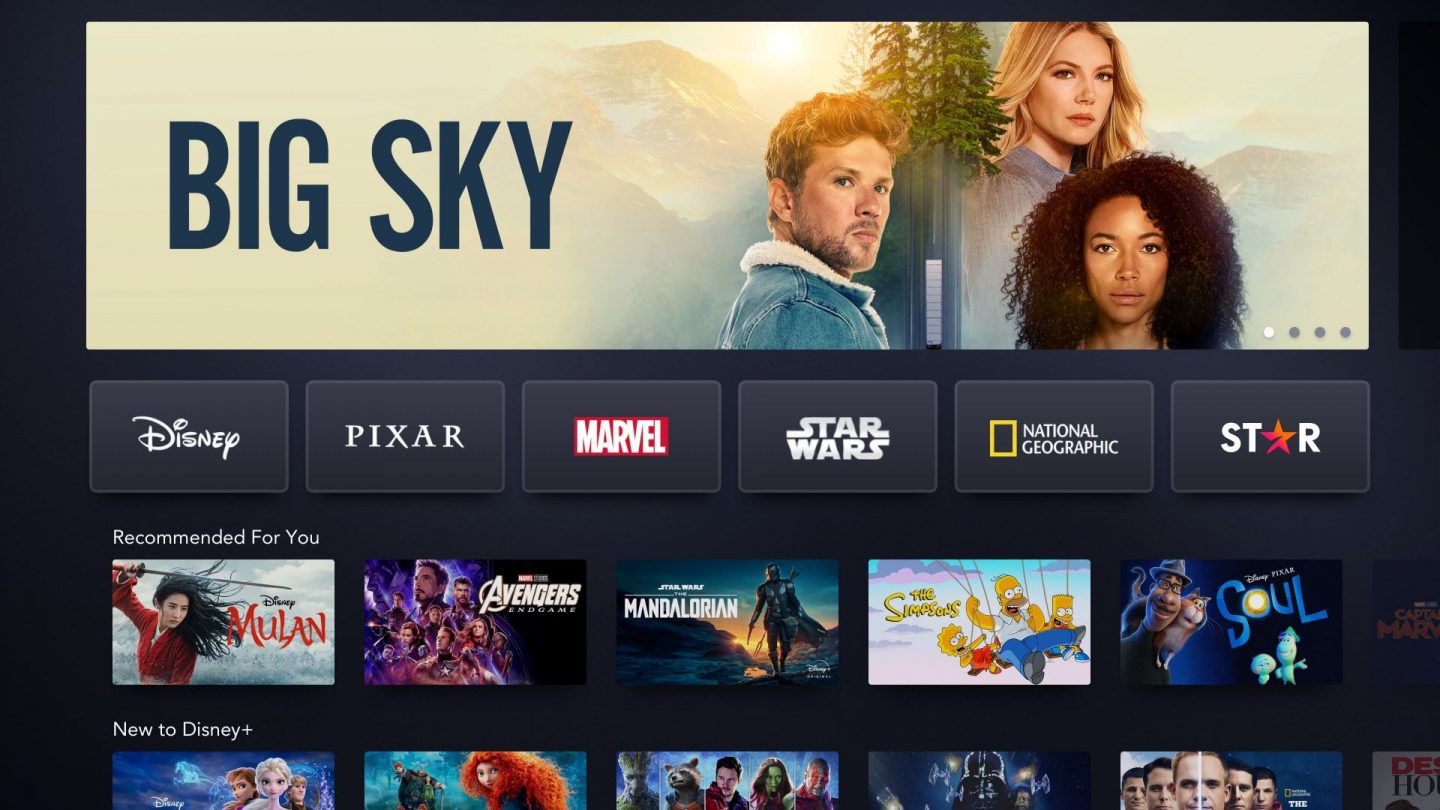 Big Sky banner on Disney+