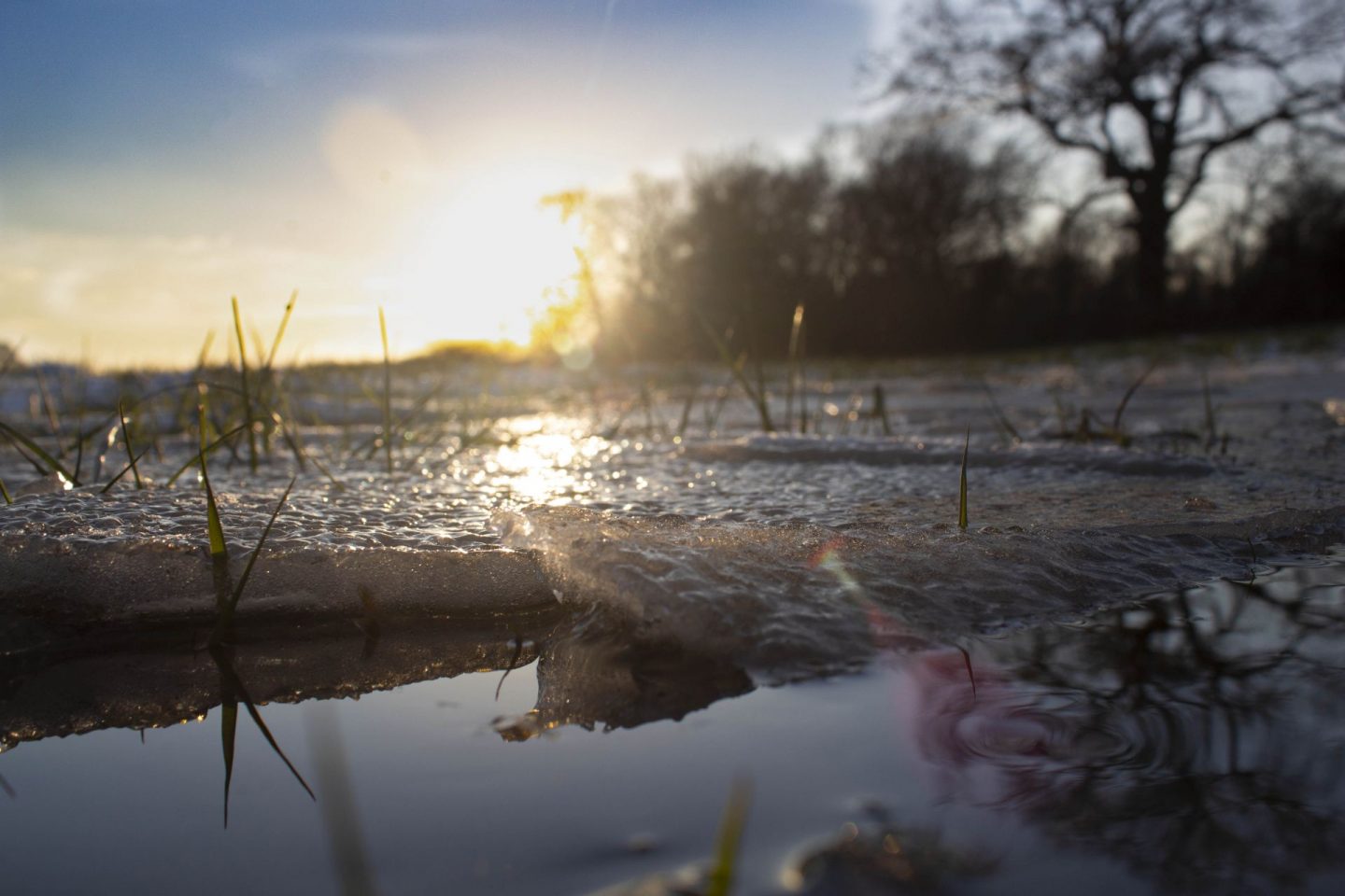 The great outdoors. Photograph of ice in a puddle