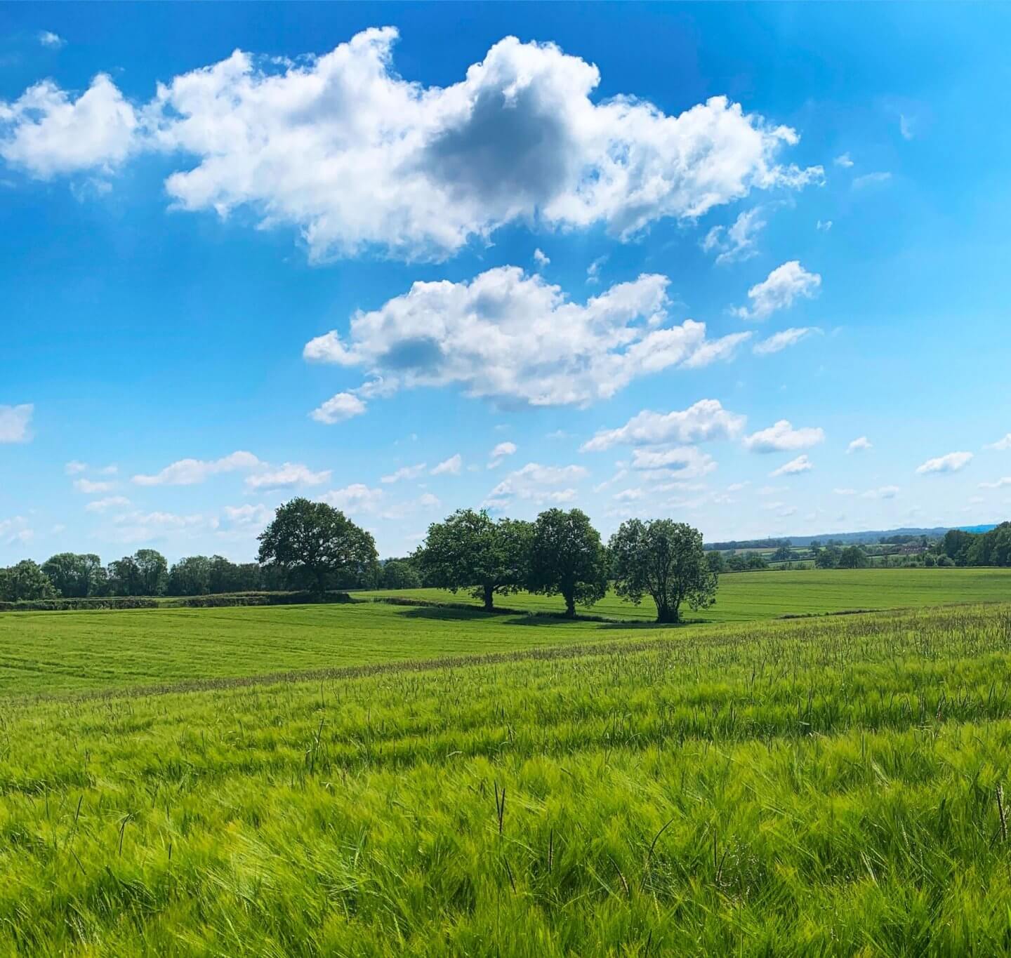 Kent countryside photographed on an INSET day