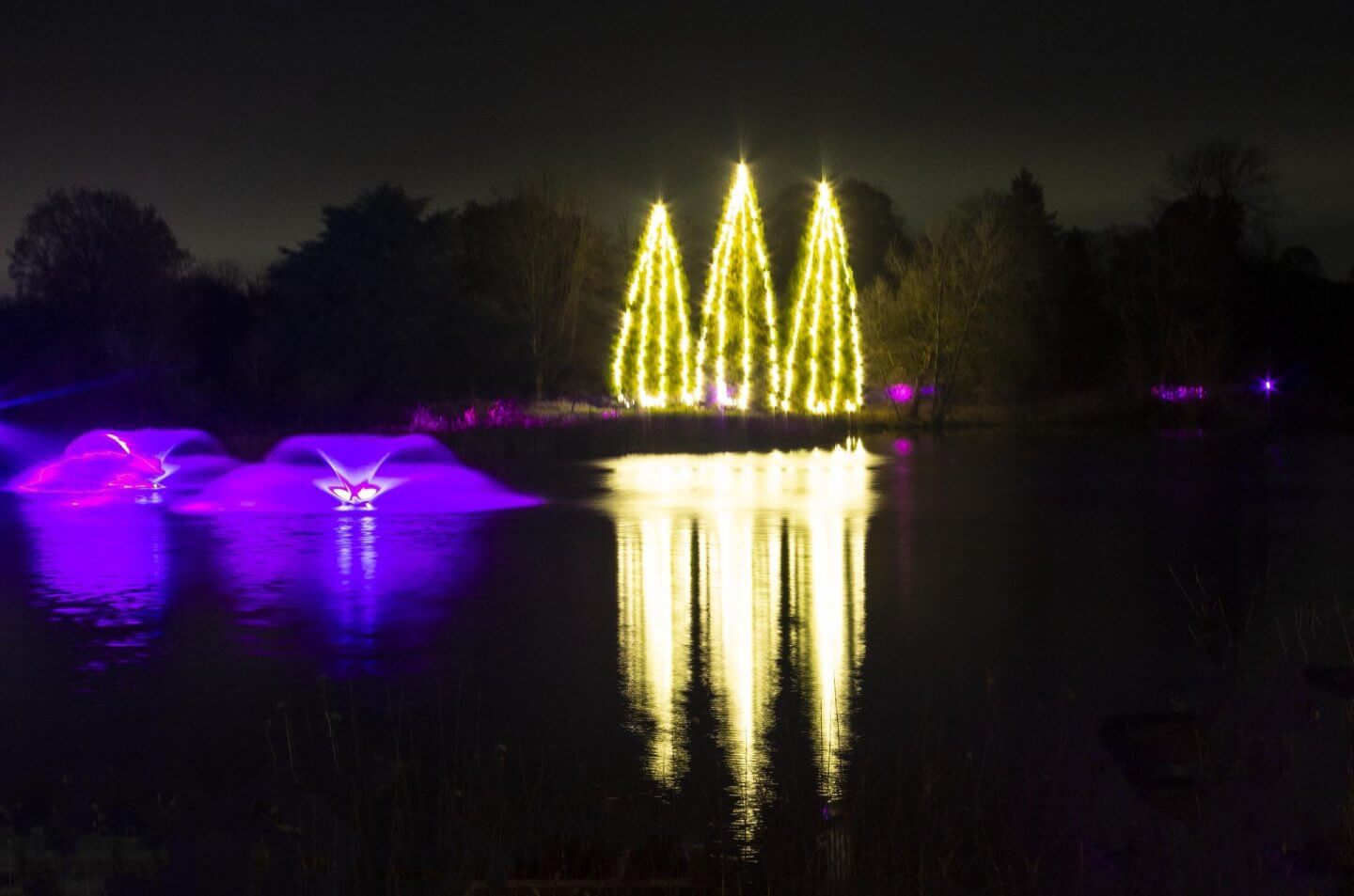 Hever Castle Christmas lights. 